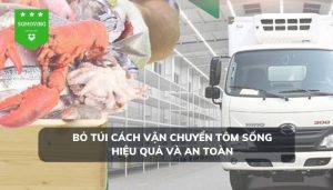 Bỏ túi cách vận chuyển tôm sống hiệu quả và an toàn