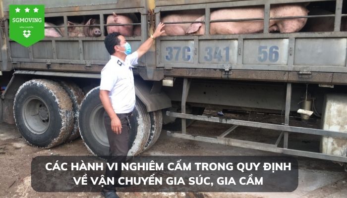 Nghiêm cấm những hành vi vận chuyển không đúng quy định