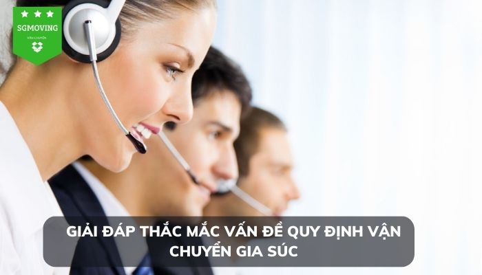 Giải đáp những câu hỏi liên quan vấn đề quy định vận chuyển về gia súc