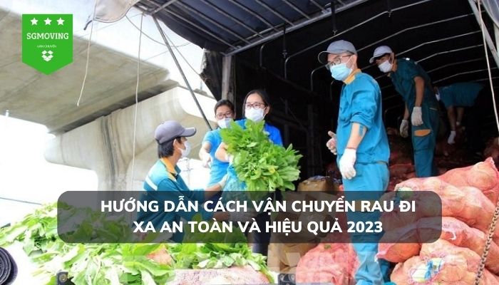 Hướng dẫn cách vận chuyển rau đi xa an toàn và hiệu quả 2023