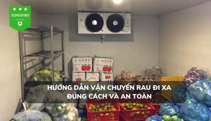 Hướng dẫn vận chuyển rau đi xa đúng cách và an toàn