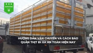 Hướng dẫn vận chuyển và cách bảo quản thịt đi xa an toàn hiện nay