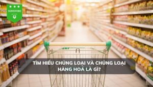 Tìm hiểu chủng loại và chủng loại hàng hoá là gì?