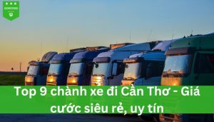 Top 9 chành xe đi Cần Thơ giá rẻ uy tín