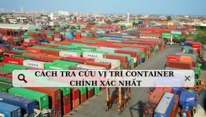 Hướng dẫn tra cứu vị trí Container chính xác và nhanh chóng