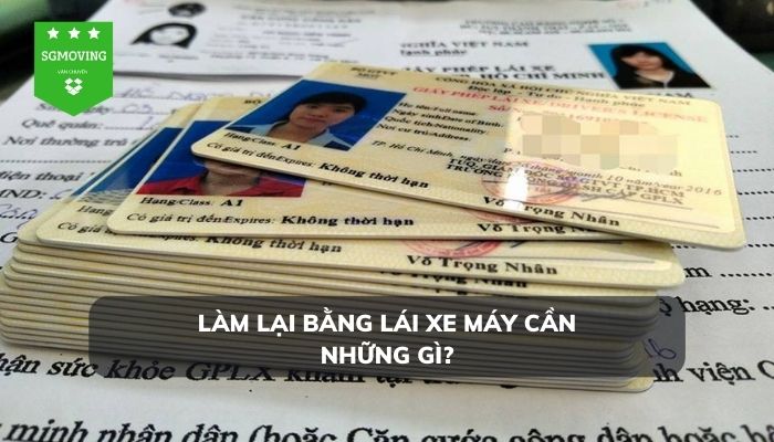 Chuẩn bị những hồ sơ gì khi mất bằng lái xe