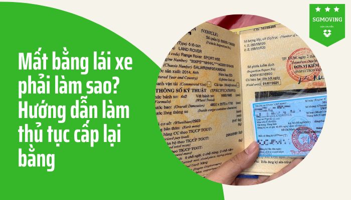 Hướng dẫn làm thủ tục cấp lại bằng khi mất bằng lái xe