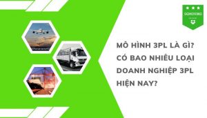 Mô hình 3PL là gì? Những thông tin thú vị về mô hình này