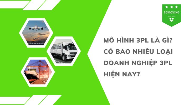 Mô hình 3PL là gì? Những thông tin thú vị về mô hình này