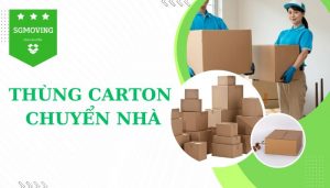 Mua thùng carton chuyển nhà giá rẻ, uy tín và chất lượng TP.HCM