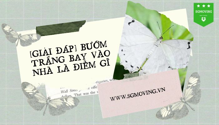 Thắc mắc bướm trắng bay vào nhà là điềm gì?