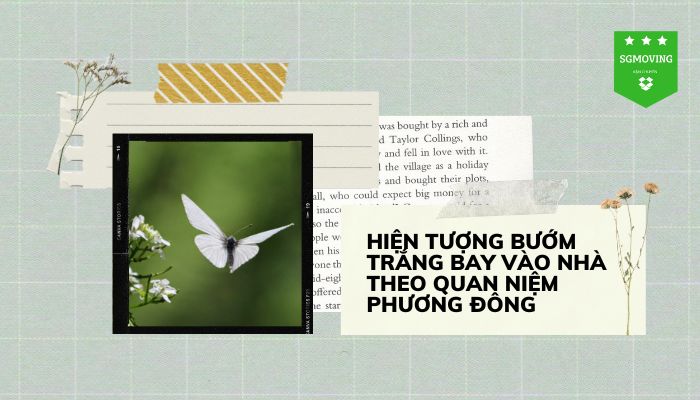 Theo quan niệm phương đông bướm bay vào nhà là điềm gì