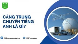 Cảng trung chuyển tiếng Anh là gì