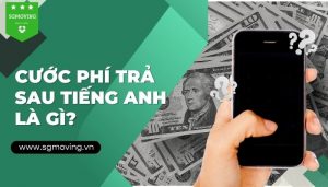 Giải đáp câu hỏi cước phí trả sau tiếng anh là gì