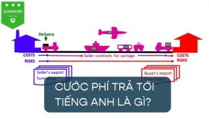 Giải đáp cước phí trả tới tiếng Anh là gì?