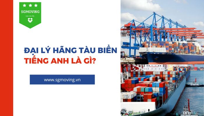 Giải đáp câu hỏi "Đại lý hãng tàu biển tiếng Anh là gì?"