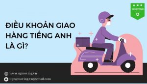 Giải đáp điều khoản tiếng Anh là gì