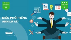 Giải đáp câu hỏi "Điều phối tiếng Anh là gì?"