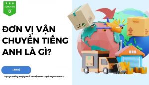 Đơn vị vận chuyển tiếng Anh là gì? Liệu bạn biết sử dụng đúng ngữ pháp?