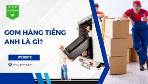 Giải đáp gom hàng tiếng Anh là gì