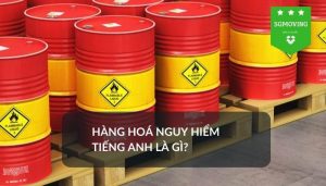 Giải đáp câu hỏi hàng hoá nguy hiểm tiếng Anh là gì?