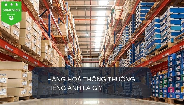 Giải đáp thắc mắc "Hàng hoá thông thường tiếng Anh là gì?"