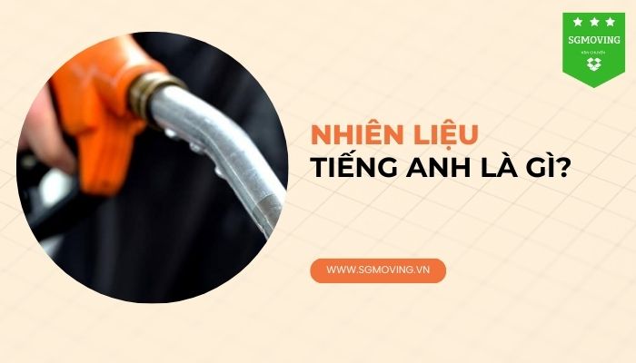 Giải đáp câu hỏi "Nhiên liệu tiếng Anh là gì"