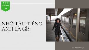 Giải đáp nhỡ tàu tiếng Anh là gì?