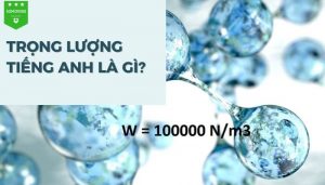 Giải đáp câu hỏi "trọng lượng tiếng Anh là gì?"