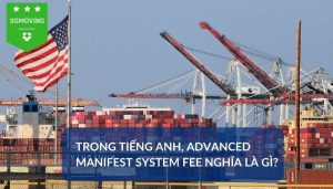 Trong Tiếng Anh, Advanced Manifest System fee Nghĩa là Gì?