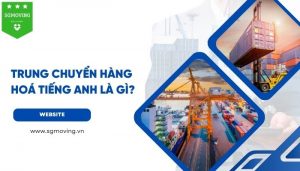 Trung Chuyển Hàng Hóa Tiếng Anh Là Gì?