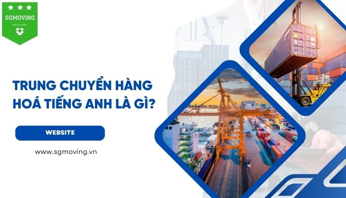 Trung Chuyển Hàng Hóa Tiếng Anh Là Gì?