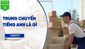 Giải đáp câu hỏi "Trung chuyển tiếng Anh là gì?"