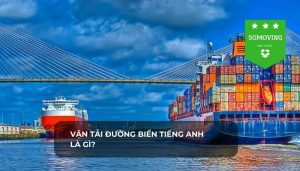 Vận tải đường biển tiếng Anh là gì? Là câu hỏi đang được khá nhiều người quan tâm đến