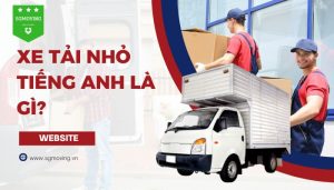 Xe tải nhỏ tiếng Anh là gì?