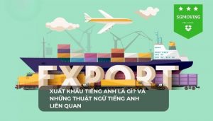 Giair đáp xuất khẩu tiếng Anh là gì