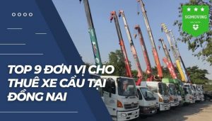 Top 9 đơn vị cho thuê xe cẩu tại Đồng Nai được đánh giá tích cực